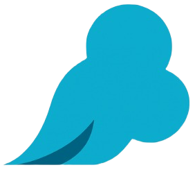 astutecarassistant.com